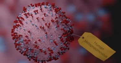 Human Metapneumovirus