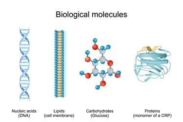 types of genetics