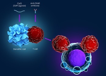 Can immunotherapy cure stage 4 cancer?