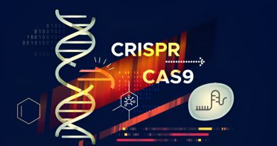 CRISPR in cancer treatment