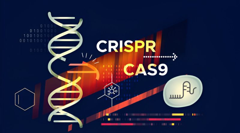 CRISPR in cancer treatment